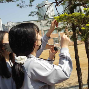 인천시교육청학생교육원, 학교 숲을 활용한 체험교육 실시
