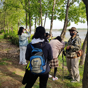 인천시교육청교육과학정보원, 찾아가는 생태시민교육 ‘저어새와 철새 탐구’