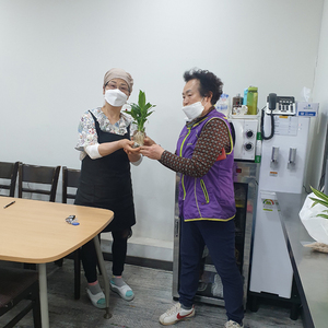 서구노인복지관, 경로당 어르신 수경식물 재배 키트 나눔