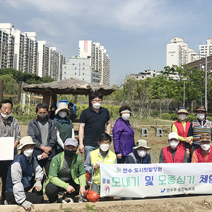 연수구, 송도석산 도시텃밭 손모내기 체험 행사