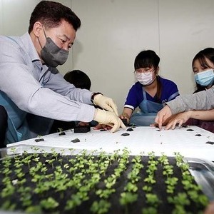 동구, 송림아뜨렛길 ‘스마트 팜’ 체험 행사 개최